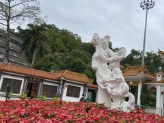 -深圳仙湖植物园