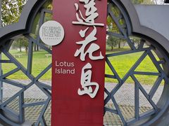 -莲花岛景区