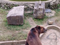 -无锡动物园·太湖欢乐园