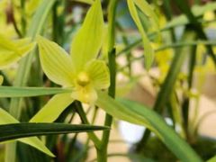 -三圣花乡旅游区