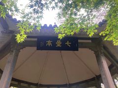 -八卦田遗址公园