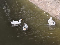 -西安汉城湖景区