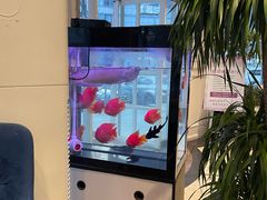 -花舍·新派粤菜·西餐·下午茶(亚运村·鸟巢店)