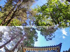 -寂照庵