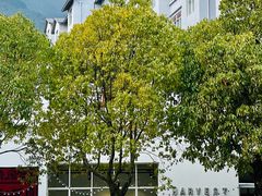 -收获咖啡HARVEST RESERVE(苍山店)