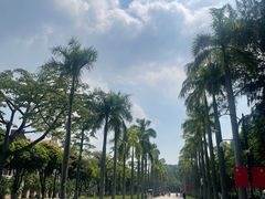-厦门大学(思明校区)