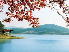 景点-天目湖山水园