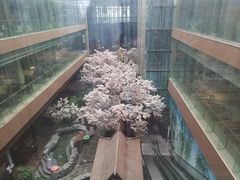 -嘉悦汗蒸时代(曙光路店)