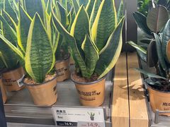 -鹿岛生活(熙地港店)