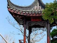 -上海滨江森林公园