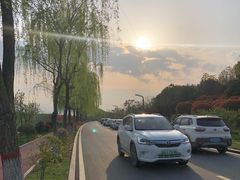 -洨河生态公园