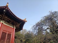 -西安碑林博物馆