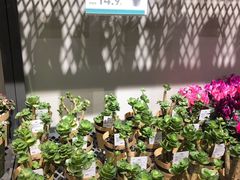 -鹿岛会员店 (龙湖三千集天街店)