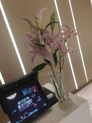 -苑苑vbeauty科技美容SPA