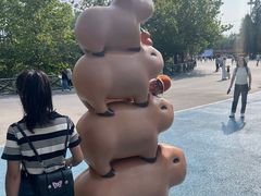 -大连森林动物园