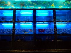 水产区-百鲜楼(藏龙岛店)