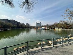 -莲湖公园