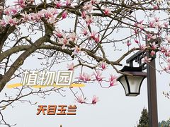 -杭州植物园