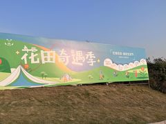 -空港花田景区