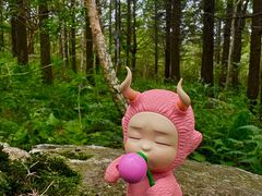 -白草畔自然风景区