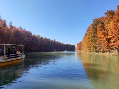 -上海海湾国家森林公园