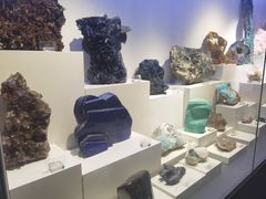 -重庆自然博物馆(新馆)
