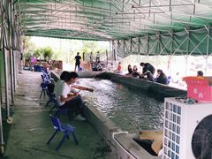 -会江钓鱼钓虾烧烤场