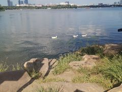 -长春市南湖公园