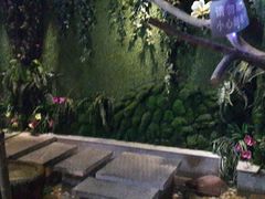 android_upload_pic-渔乡米香·剁椒鱼头(四方坪店)