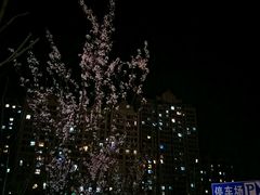 -大融城-停车场