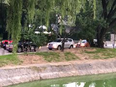 -枫花园汽车电影院(朝阳公园店)