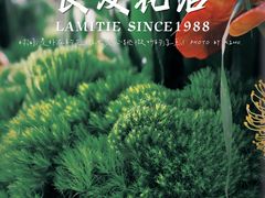 -良友花店(天目山路店)