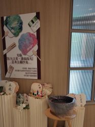 -安吉拉青春化管理中心