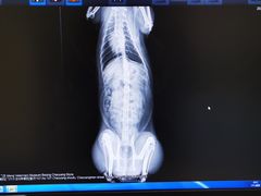 -萌兽医馆·犬猫专科·眼科中心·宠物医院(朝阳门分院)