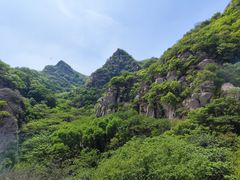 -大岭沟猕猴桃谷风景区