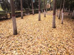-西安汉城湖景区