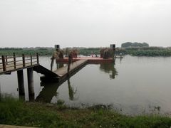 -洪湖生态旅游区