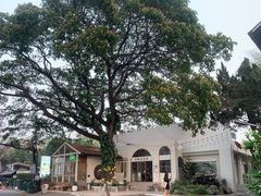 -Cheevit Cheeva(Sirimangkalajarn)