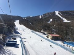 -亚布力新体委滑雪场