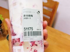 多肉杨梅-喜茶(深圳海岸城店)