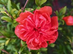 -天津东丽湖风景区