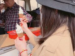 -富豪雪糕车流动点(尖沙咀店)