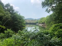 -白马涧龙池景区