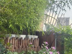 -小茶闲舍·观景商务茶馆(广州塔店)