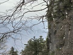 -秦岭天竺山景区