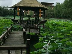 -天赐温泉