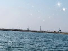 -大港湿地公园