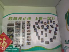 -能量小象·感统·专注力·语言(崂山校区)