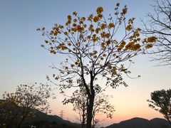 -白石龙音乐公园