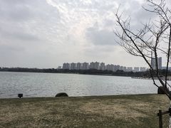 -桐乡凤凰湖